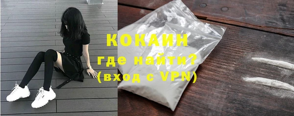 соль ск Дмитров
