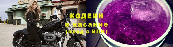 крисы Ельня