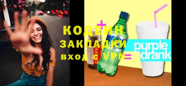 крисы Ельня