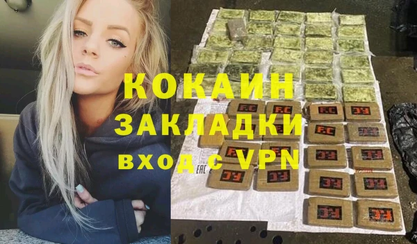 соль ск Дмитров