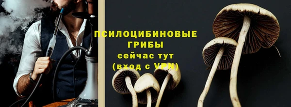 крисы Ельня