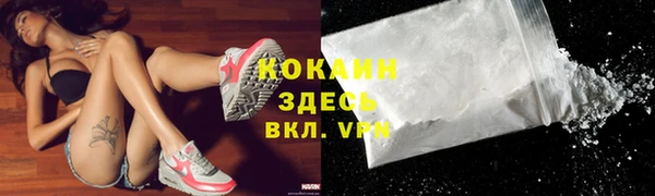 крисы Ельня
