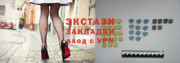 крисы Ельня