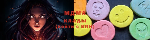 крисы Ельня