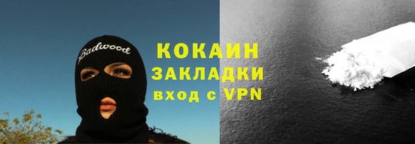твердый Елизово