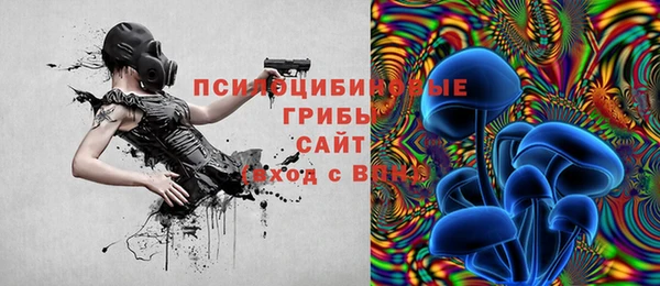 твердый Елизово