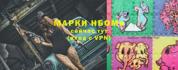 твердый Елизово