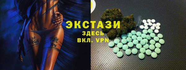 гашик Дмитровск