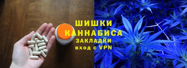 твердый Елизово
