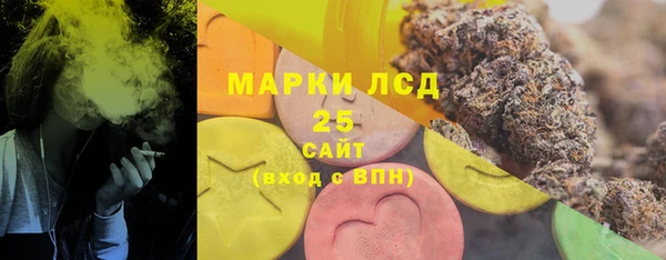 твердый Елизово